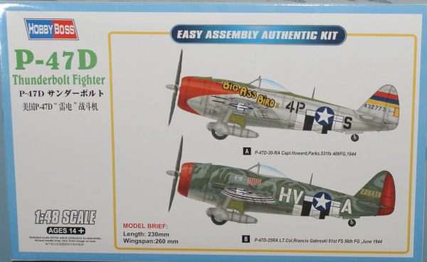 P-47D Thunderbolt Fighter